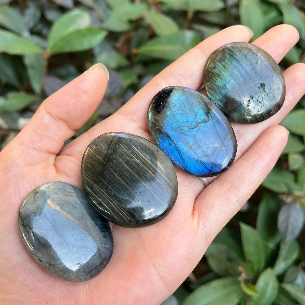 2pcs/set Natural Flashy Labradorite Cabochon Heart Shape Labradorite Flatback Stone Smooth Polish Gemstone 3CM