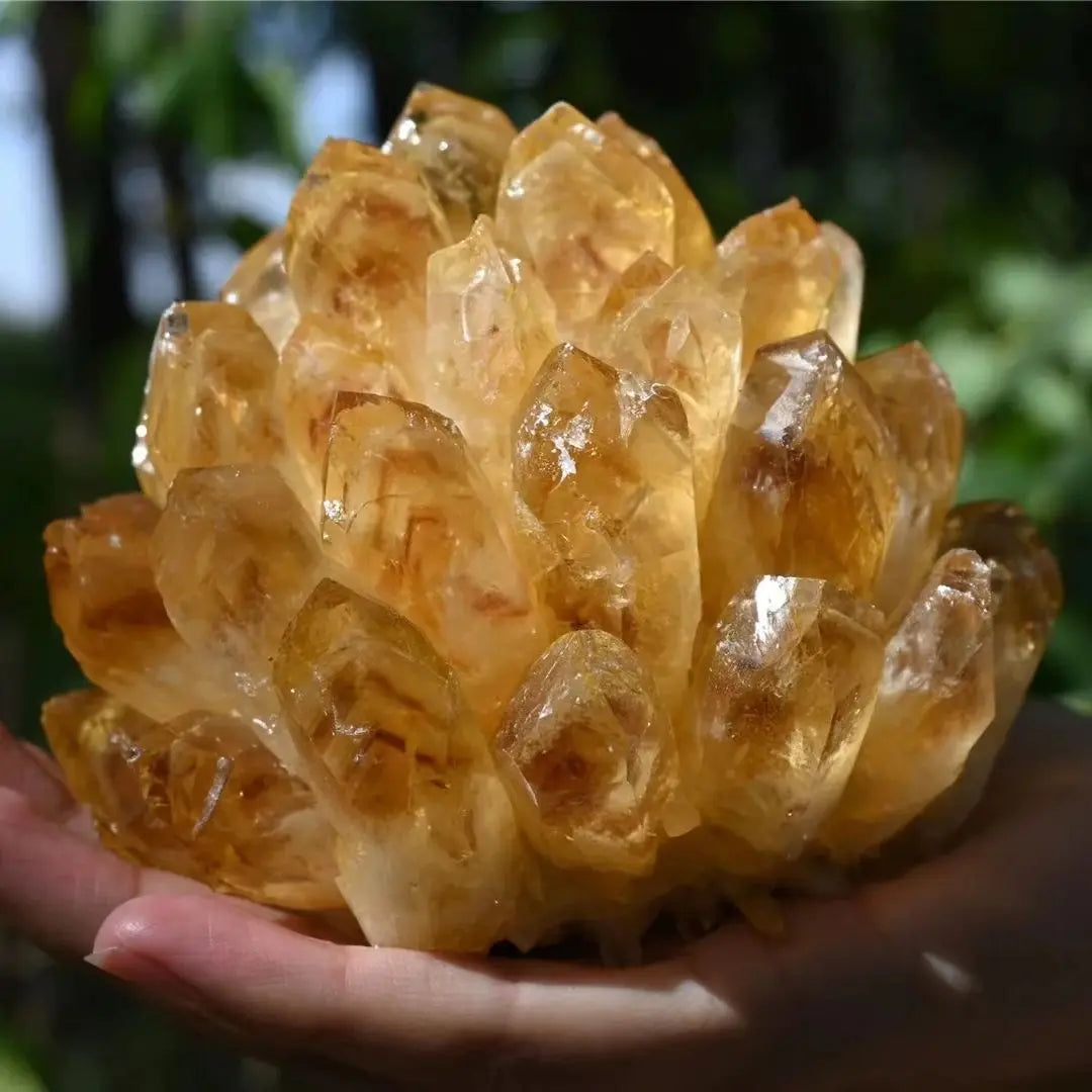 Natural Citrine Crystal Cluster (350–650 g)