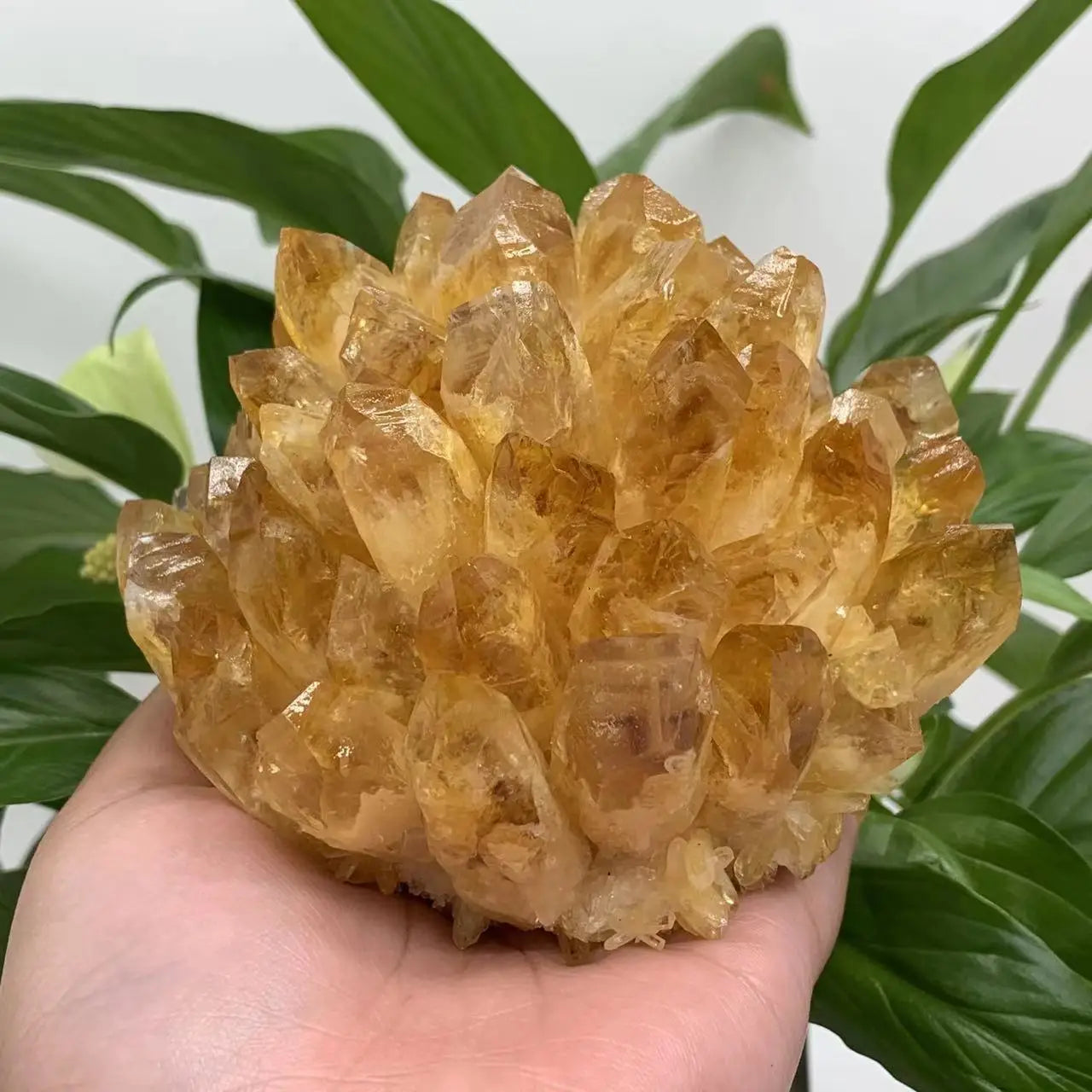 Natural Citrine Crystal Cluster (350–650 g)